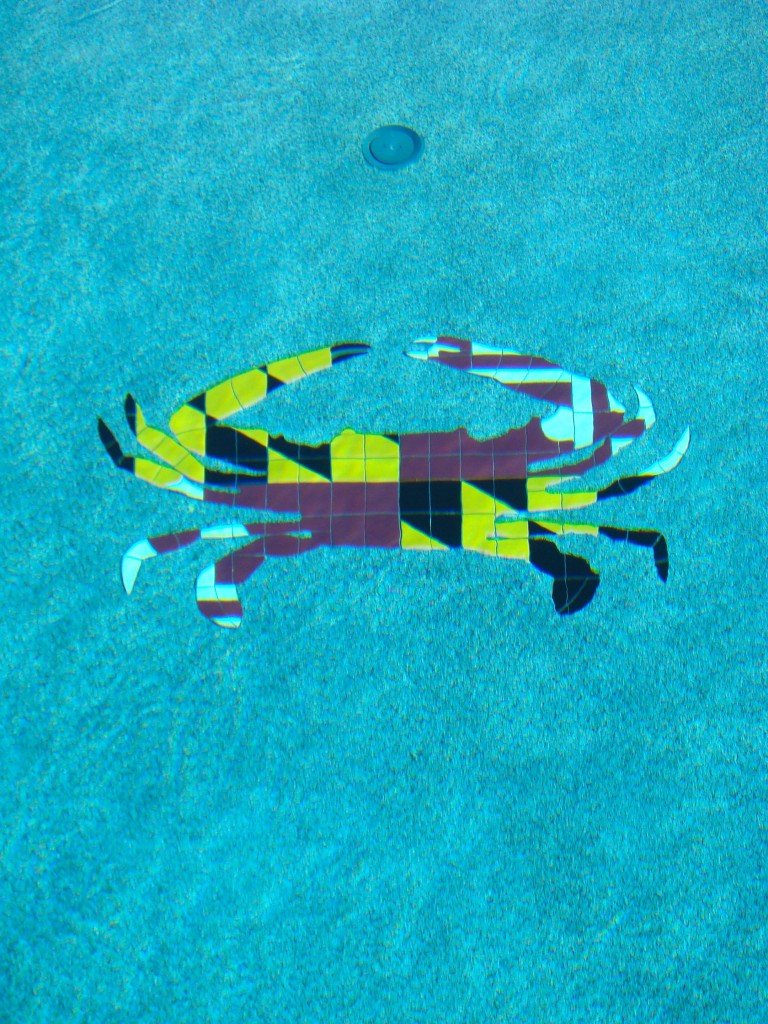If you live in Maryland you can see examples of Maryland Pride on car stickers everywhere - why not your pool?